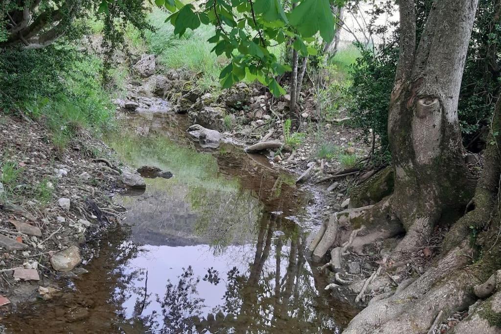 Studio Tout Confort Dans Maison De Caractere La Bastide  Εξωτερικό φωτογραφία